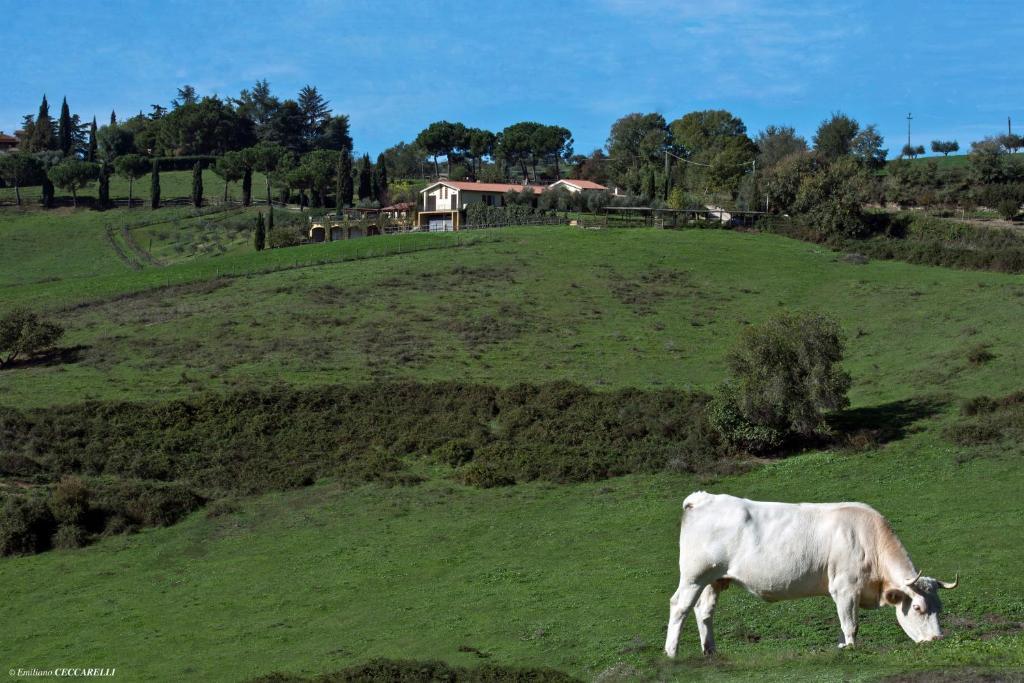 Agriturismo Valle Siriaca Castelnuovo Di Porto المظهر الخارجي الصورة